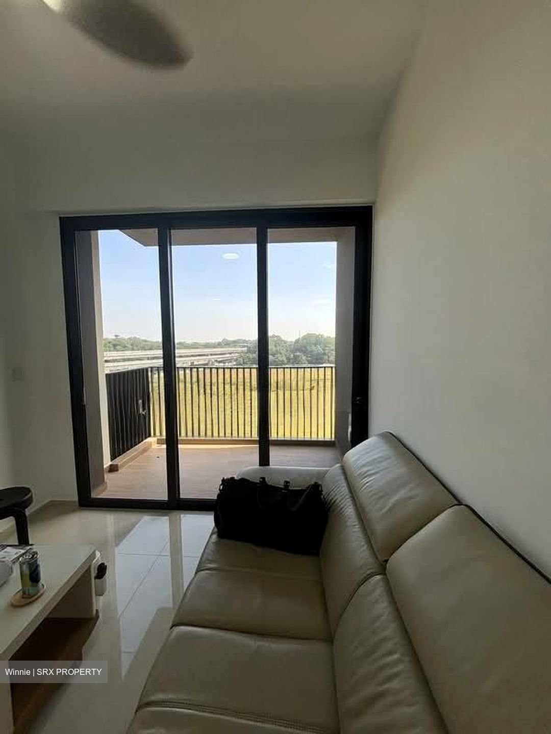 Copen Grand (D24), Condominium #545581011